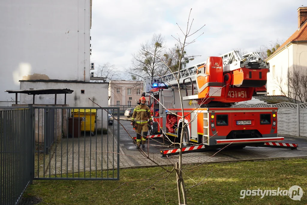 Uszkodzone ponad 10-metrowe drzewo mogło być prawdziwym zagrożeniem