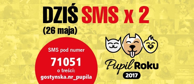 Pupil 2017. Szansa na dodatkowe punkty - Zdjęcie główne