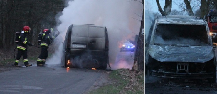Kierowca zrobił unik przed jeleniem i wylądował na drzewie - auto stanęło w płomieniach - Zdjęcie główne