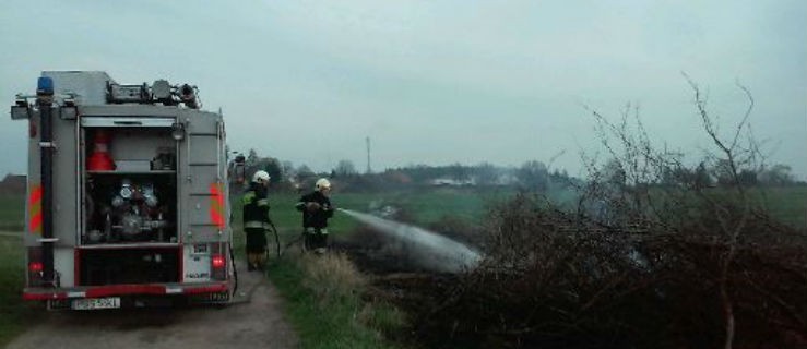 Spłonęły gałęzie i trawa - Zdjęcie główne