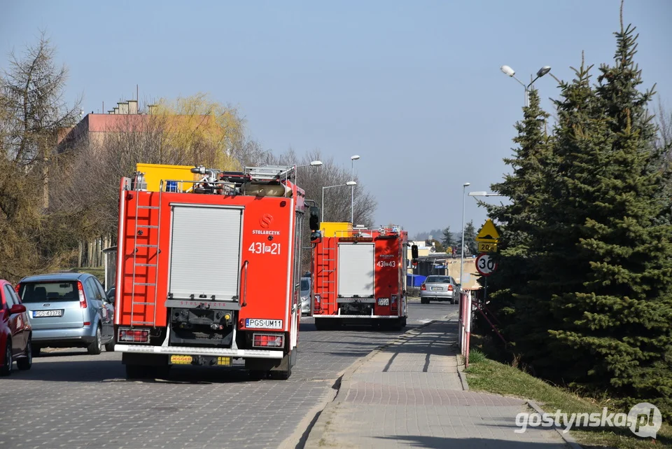 Gostyń. Ratownicy z LPR transportują chorego mieszkańca Gostynia do szpitala w Ostrowie Wlkp.