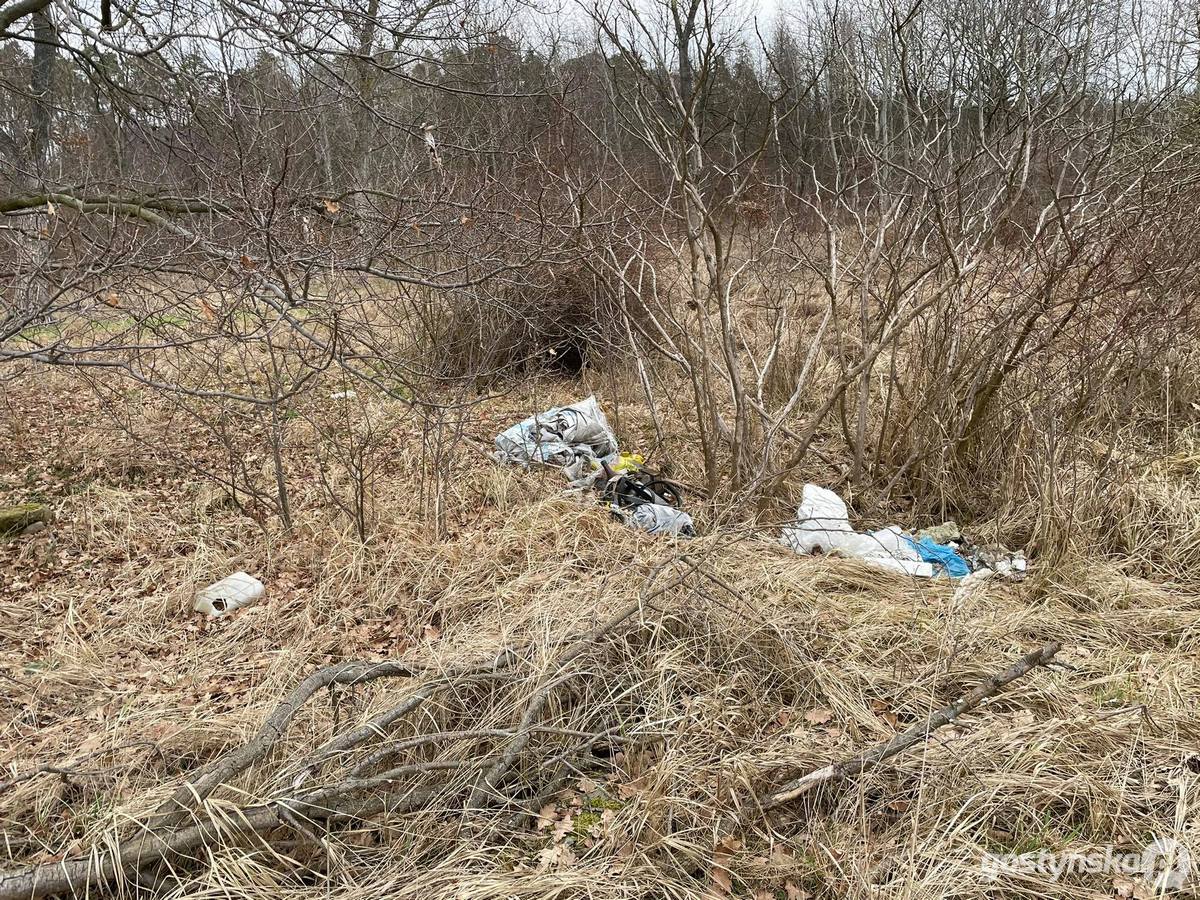 Las w Żytowiecku jest częstym miejscem wyrzucania śmieci. - Ja nie widzę żadnego uzasadnienia, żeby mieszkańcy wywozili swoje odpady do lasu - mówi Eugeniusz Karpiński, przewodniczący KZGRL