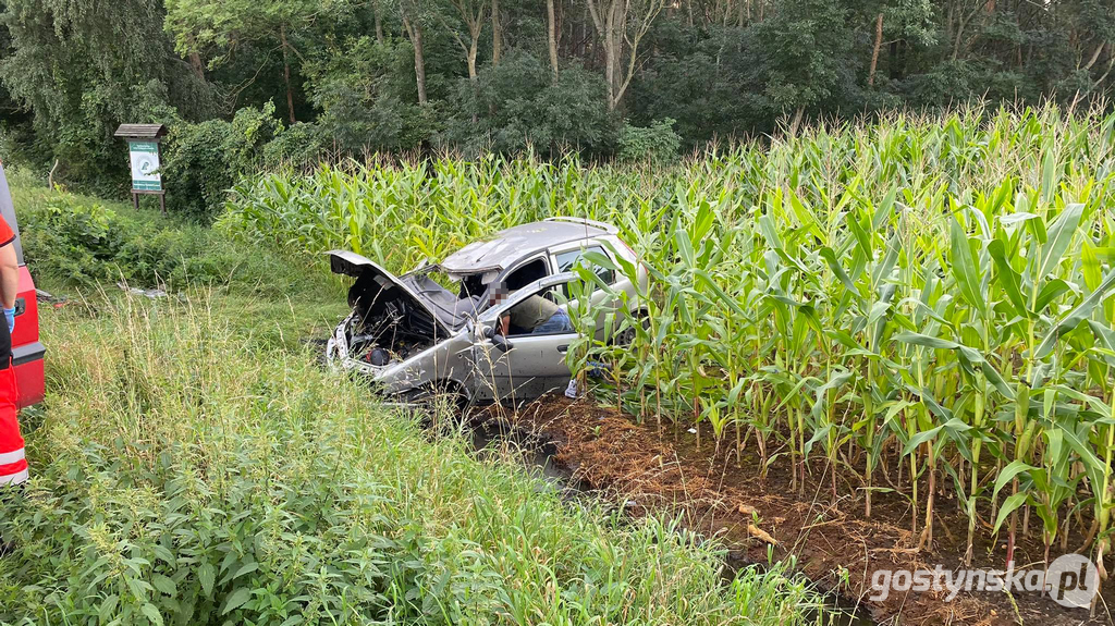 Poniec. Kolizja na drodze powiatowej Poniec-Gostyń, na wyjeździe z Drzewiec w kierunku Śmiłowa