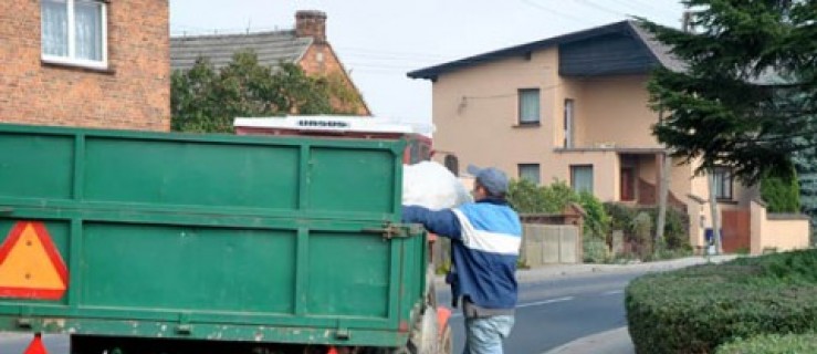 Ziemiopłody trafią do Poznania  - Zdjęcie główne