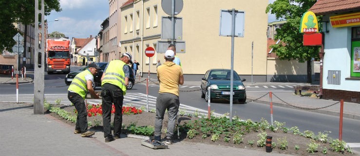 Miasto pięknieje, kwiatów coraz więcej - Zdjęcie główne