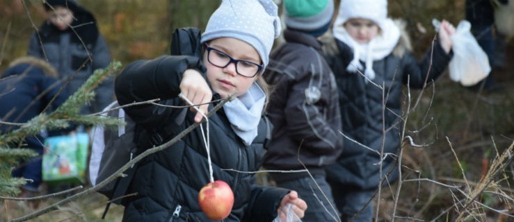 Przygotowały Wigilię w lesie. Spotkały gościa - Zdjęcie główne