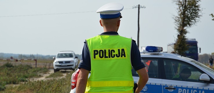 Pod Lesznem wpadł w ręce policjantów  - Zdjęcie główne