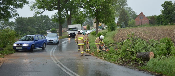 Powalone drzewo blokowało drogę - Zdjęcie główne