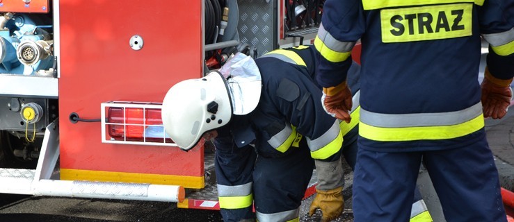 Pies wpadł do studni. Ochotnicy ruszyli z pomocą - Zdjęcie główne