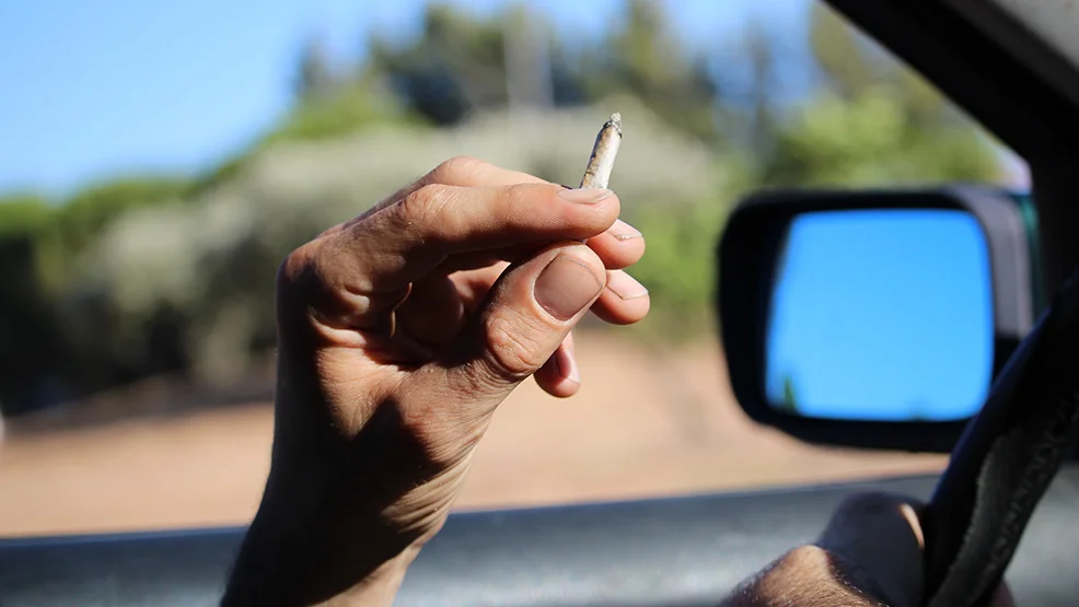 Marihuana była ważniejsza od zdrowego rozsądku. Nastolatek z powiatu gostyńskiego skończy przed sądem - Zdjęcie główne