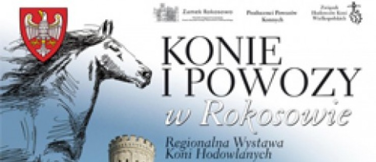 Konie i powozy w Rokosowie  - Zdjęcie główne