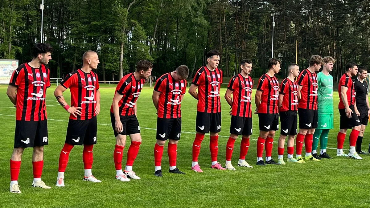 polecany artykuł