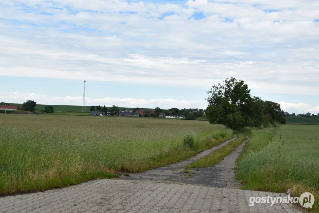 Gmina Gostyń. Polna droga w Malewie, w kierunku Szczodrochowa