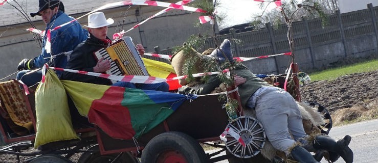 Niedźwiedź i kuminiorze nie szczędzili pasty i mandatów - Zdjęcie główne