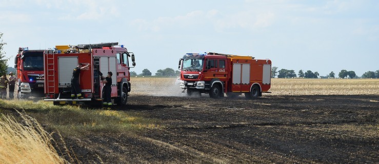 Do gaszenia ognia ruszyli sami. Emocje były! - Zdjęcie główne