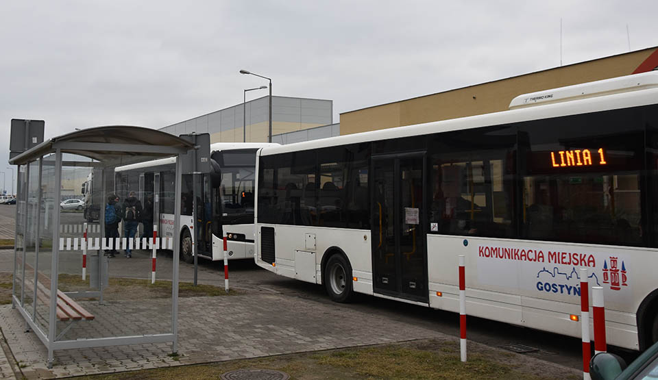 Specjalny autobus do szkoły.  "Dziewiętnastka" z komunikacji miejskiej w Gostyniu wznawia kurs - Zdjęcie główne