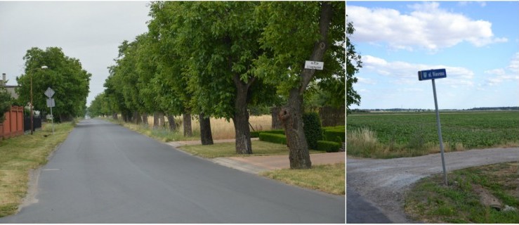 Ścieżka planowana na ten rok - Zdjęcie główne