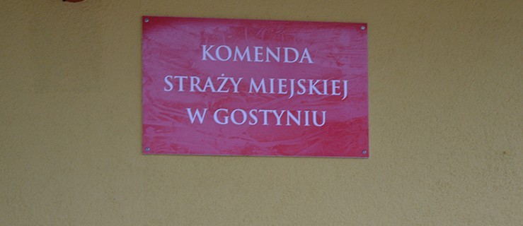 Dodatkowy etat w straży miejskiej? Kontrole palenisk będą częściej? - Zdjęcie główne