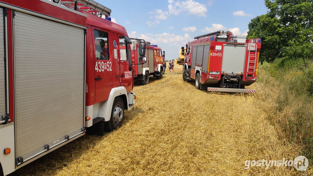 Borek Wlkp. Pożar zboża na pniu w Trzecianowie