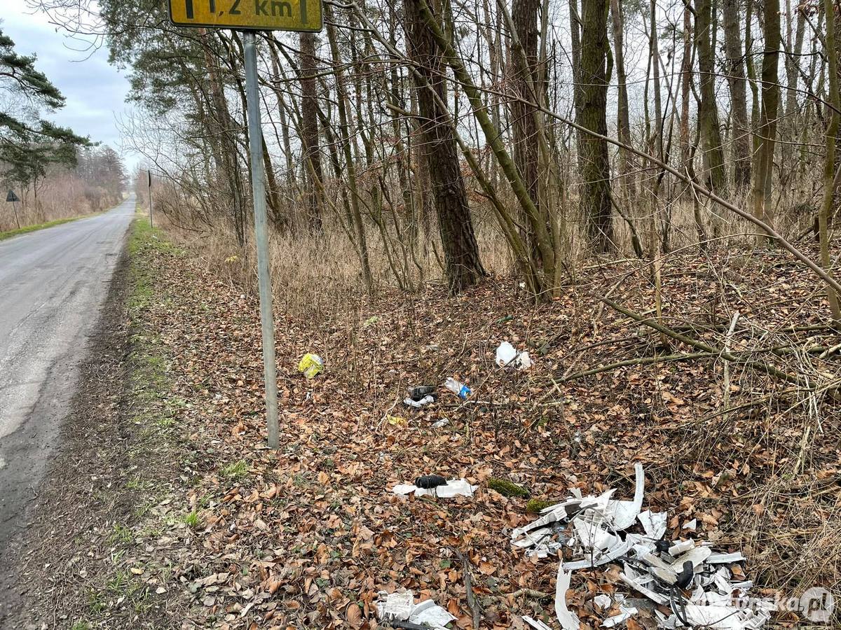 Las w Żytowiecku jest częstym miejscem wyrzucania śmieci. - Ja nie widzę żadnego uzasadnienia, żeby mieszkańcy wywozili swoje odpady do lasu - mówi Eugeniusz Karpiński, przewodniczący KZGRL