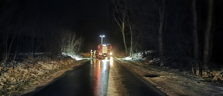 Kierowca z dwójką dzieci dachował na poboczu - Zdjęcie główne