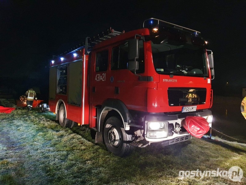 Strażacy musieli go ściągnąć łodzią ze stawu. Mieszkańcy apelowali o pomoc - Zdjęcie główne