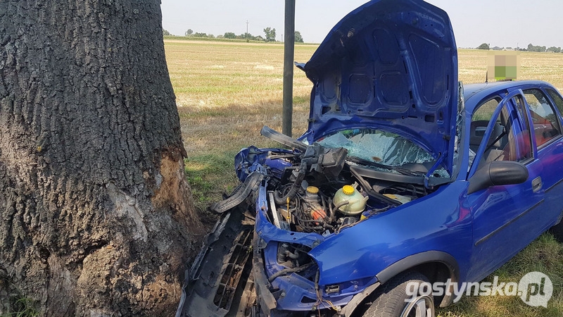 Samochód trzasnął w drzewo. Siedemnastolatka ma złamany kręgosłup - Zdjęcie główne