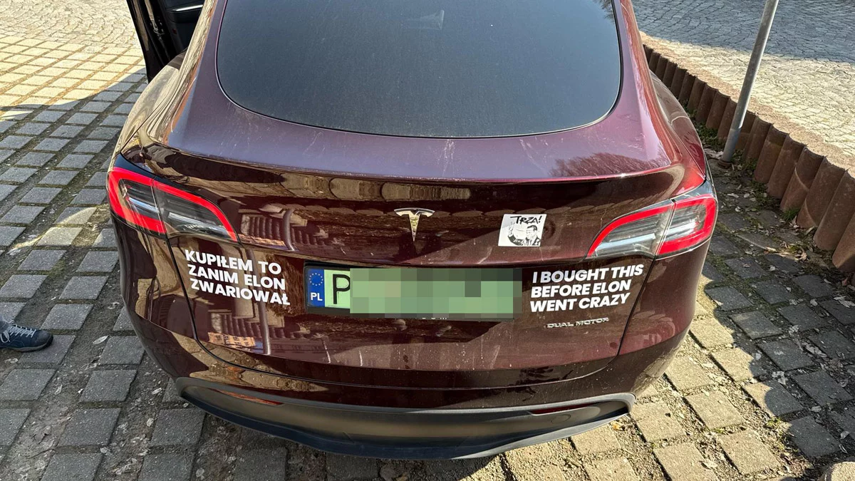 Tesla - bohaterka memów i artykułów, krążących w sieci, „mieszka” w podgostyńskiej wiosce - Zdjęcie główne