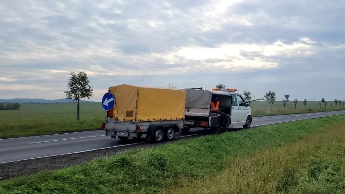 Nadleśnictwa "stawiają"  przy drogach ogrodzenia zapachowe przeciwko dzikom. Ma to pomóc w walce z ASF - Zdjęcie główne