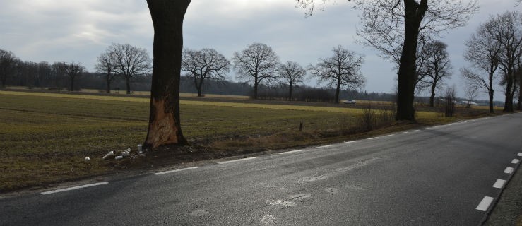 Czy ograniczenie poprawi bezpieczeństwo? Pojawią się znaki - Zdjęcie główne