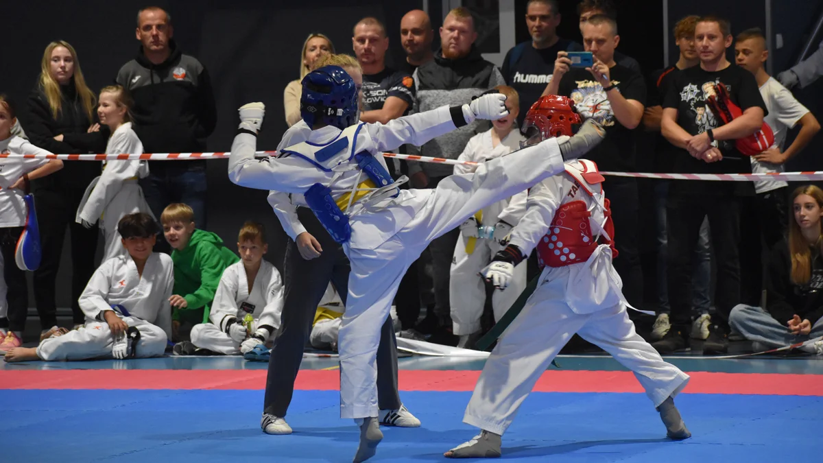 Grand Prix Wielkopolski w Taekwondo Olimpijskim - Zdjęcie główne