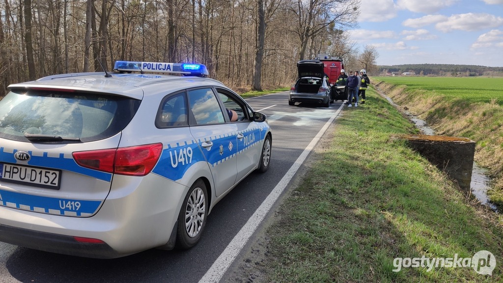 Na trasie Koszkowo-Studzianna samochód audi A 5 zderzył się z dziką zwierzyną