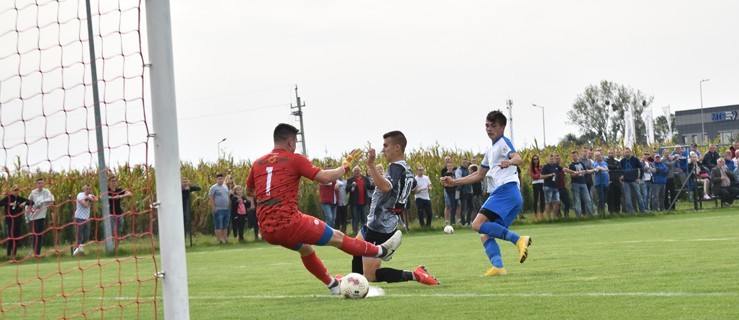 Kolejne derby dla Kani - Zdjęcie główne