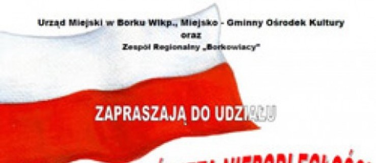 Weź udział w obchodach Święta Niepodległości - Zdjęcie główne