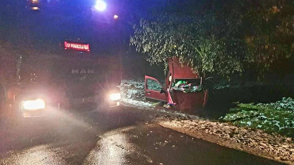 Na prostej drodze auto uderzyło w drzewo.  Kierowca w szpitalu - Zdjęcie główne