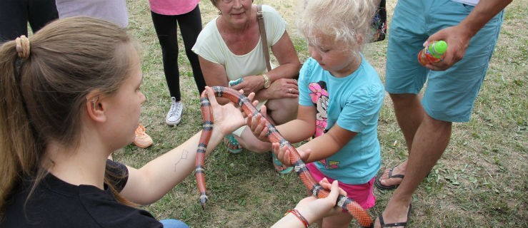 Piknik z gośćmi specjalnymi - Zdjęcie główne