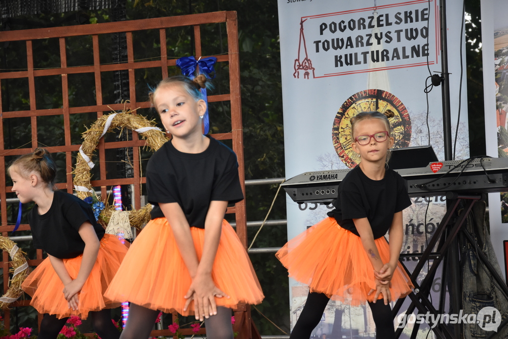 Dożynki w Elżbietkowie. Tradycji stało się zadość