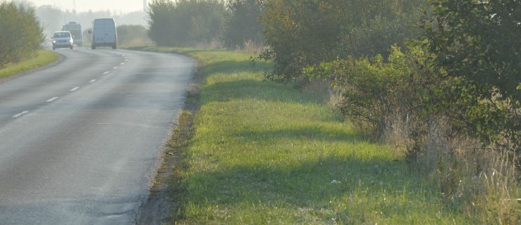 Co ze ścieżką rowerową? - Zdjęcie główne