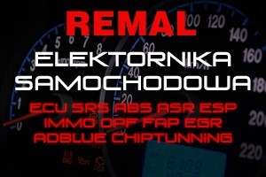 "REMAL" Remigiusz Turbański - Zdjęcie główne