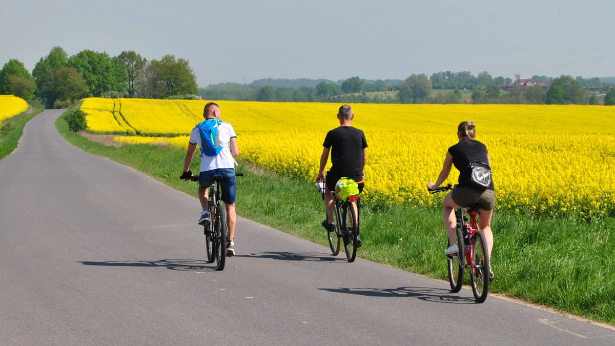 Przyprowadźcie rowery na rynek. Będzie przegląd jednośladów z policją