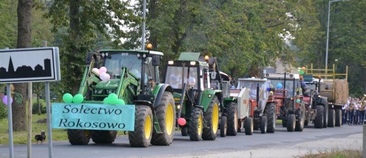 Dożynkowy korowód przejechał przez wioskę - Zdjęcie główne