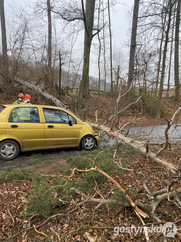 Klony. Drzewo przewróciło się na auto 