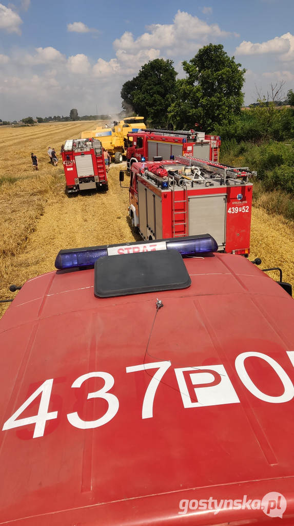 Borek Wlkp. Pożar zboża na pniu w Trzecianowie