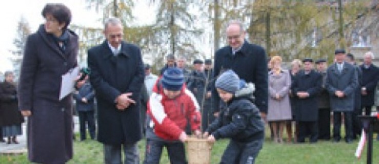 Dąb Katyński posadzony w Piaskach (galeria) - Zdjęcie główne