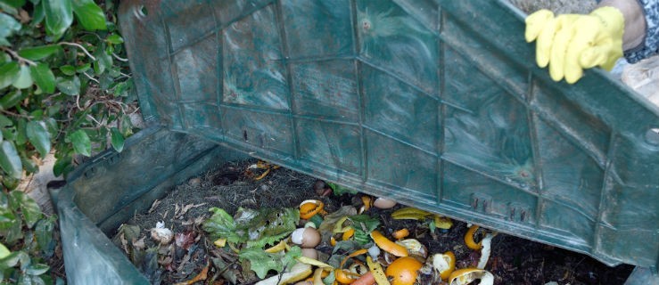 Czy kompostownik byłby lepszym rozwiązaniem? [SONDA] - Zdjęcie główne