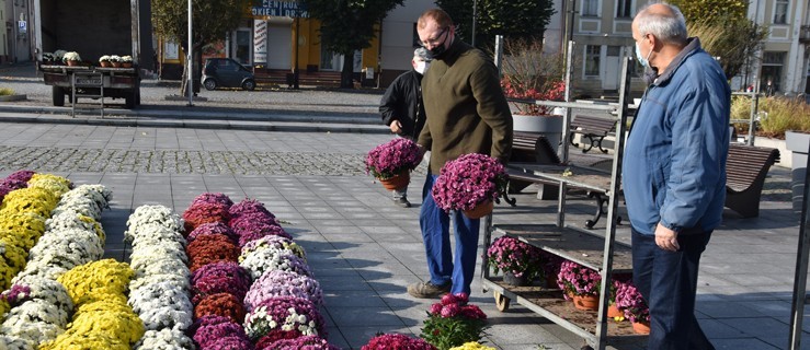 Spontaniczny gest. Kwiaty od lokalnych ogrodników udekorowały serce miasta - Zdjęcie główne