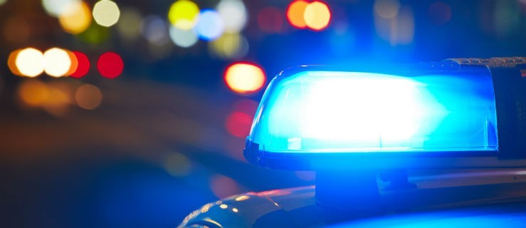 Oplem w betonowy płot - Zdjęcie główne