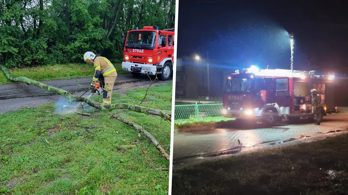 Burze i silny wiatr w powiecie gostyńskim. Wiatrołomy. Zalane drogi, piwnice i garaże. Gdzie interweniowała straż? - Zdjęcie główne