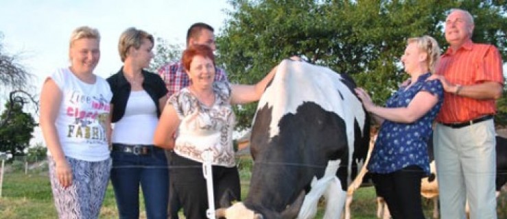 Pogorzela. Zaproszą do mlecznej przygody - Zdjęcie główne