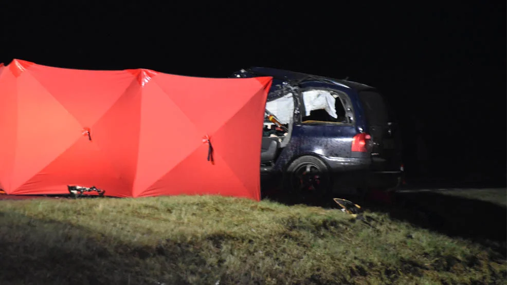 Roztrzaskane auto na drodze wojewódzkiej 434.  Kierowca nie miał szans na przeżycie?  - Zdjęcie główne
